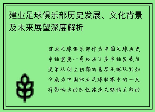 建业足球俱乐部历史发展、文化背景及未来展望深度解析