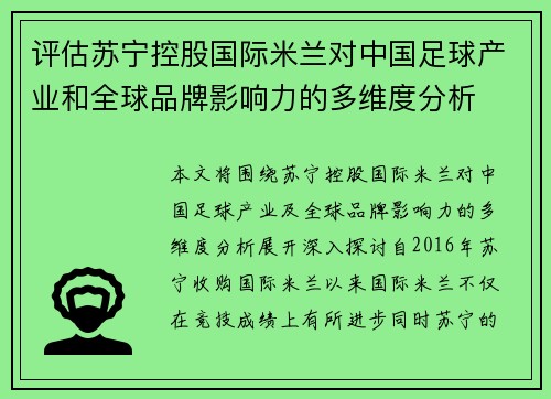 评估苏宁控股国际米兰对中国足球产业和全球品牌影响力的多维度分析